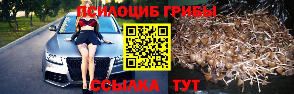 Учалы  Галлюциногенные грибы MAGIC MUSHROOMS  Вход с VPN  Галлюциногенные грибы Magic Shrooms 