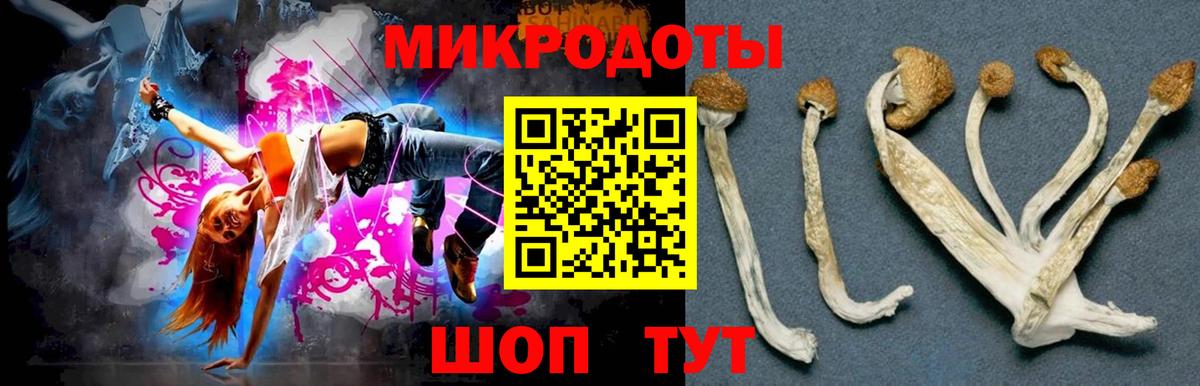 Галлюциногенные грибы Psilocybe Учалы